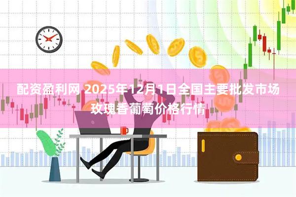 配资盈利网 2025年12月1日全国主要批发市场玫瑰香葡萄价格行情