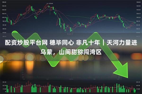 配资炒股平台网 穗毕同心 非凡十年｜天河力量进乌蒙，山间甜猕闯湾区